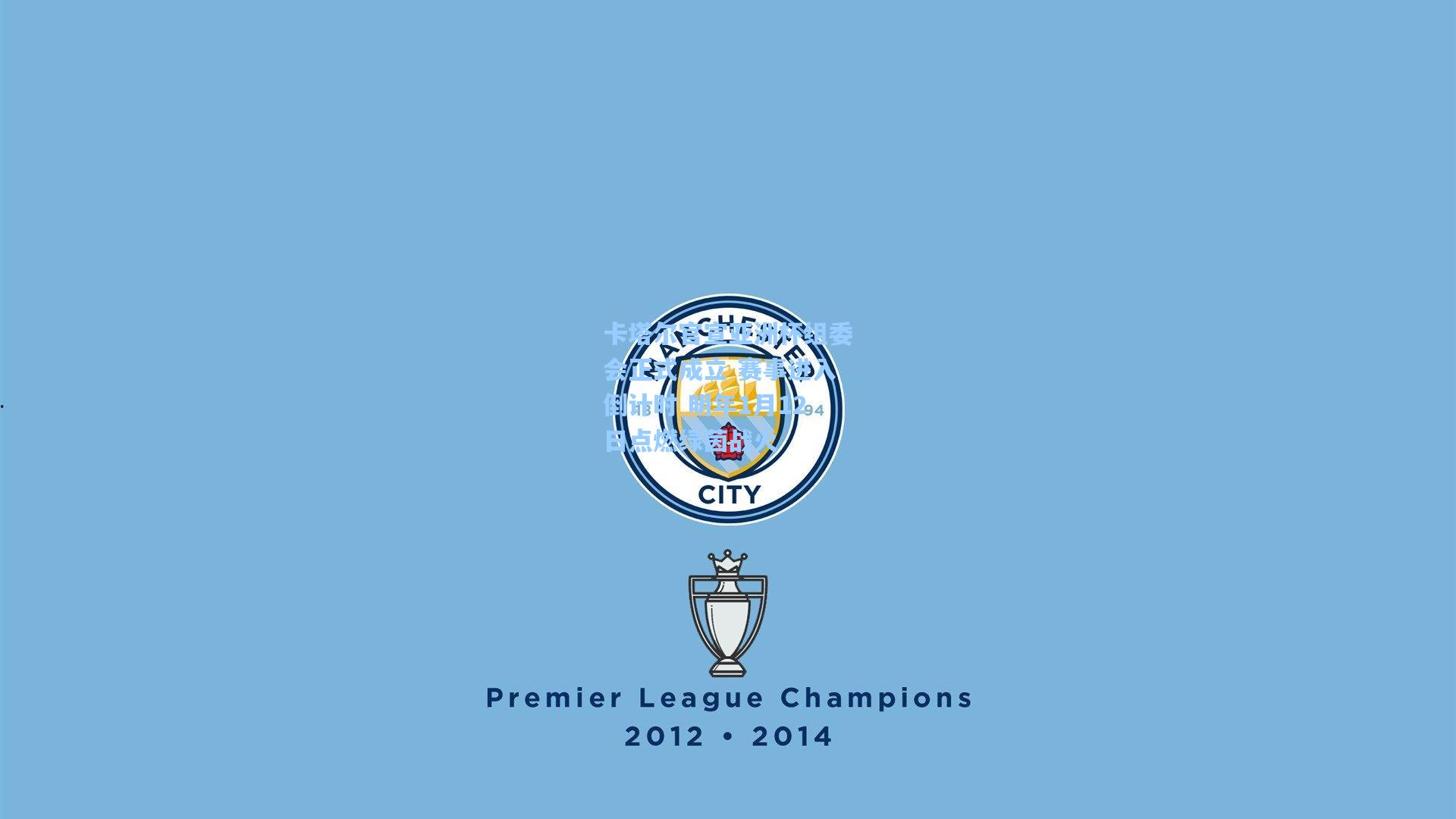 卡塔尔官宣亚洲杯组委会正式成立 赛事进入倒计时 明年1月12日点燃绿茵战火